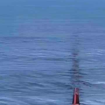 Pilot Falls From Plane