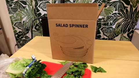 Brigii 4.24 Quart Salad Spinner Kitchen Gadget Review
