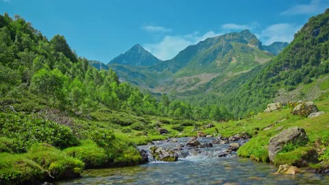 Copperheads and Crawdaddies | A Front Porch Wisdom Inspiration
