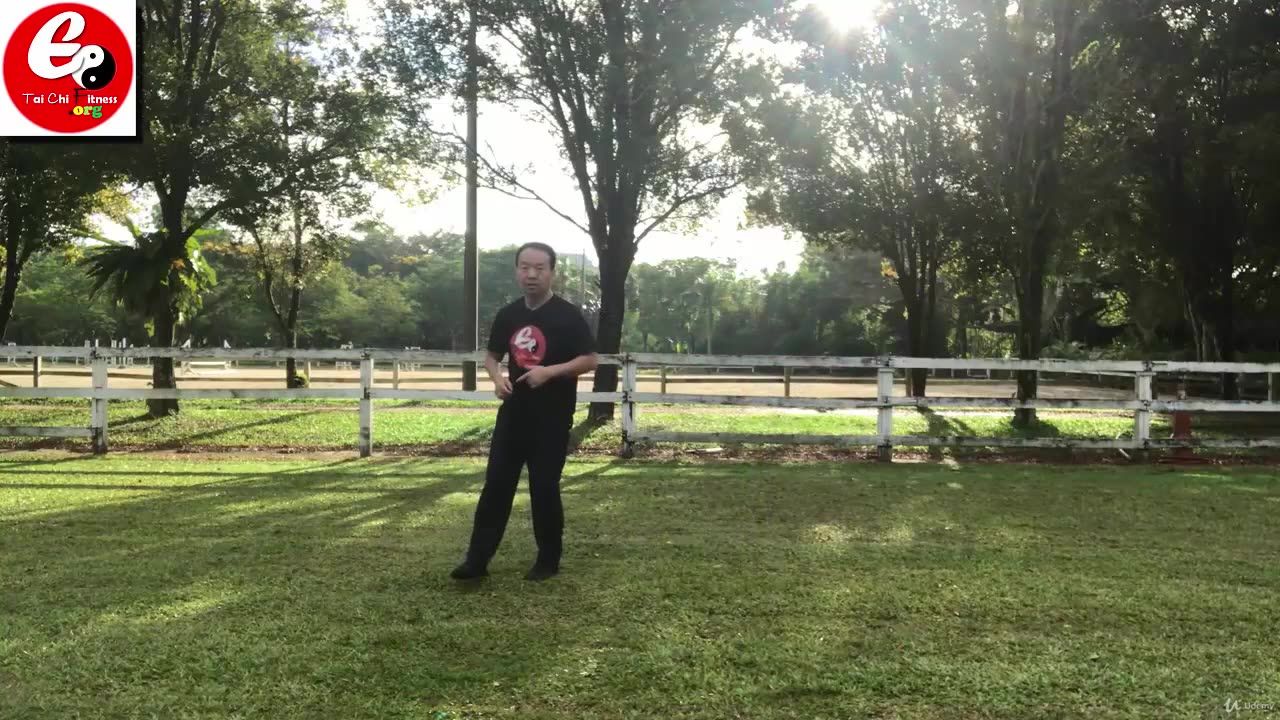 Aerobic Tai Chi Workout-028-Left Side Kick and Right Side Kick