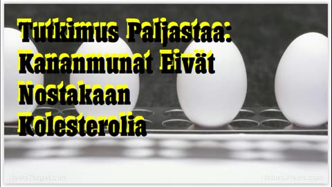Tutkimus paljastaa - kananmunat eivät nostakaan kolesterolia