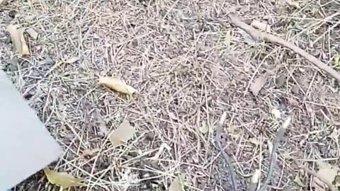🔥🛠️ Ukraine Russia War | Destroyed Russian 2A18 D-30 Howitzer & GAZ-66 Truck in Donetsk | RCF
