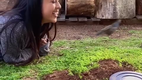 This family rescued a baby quail that was stuck in a drain and adopted it