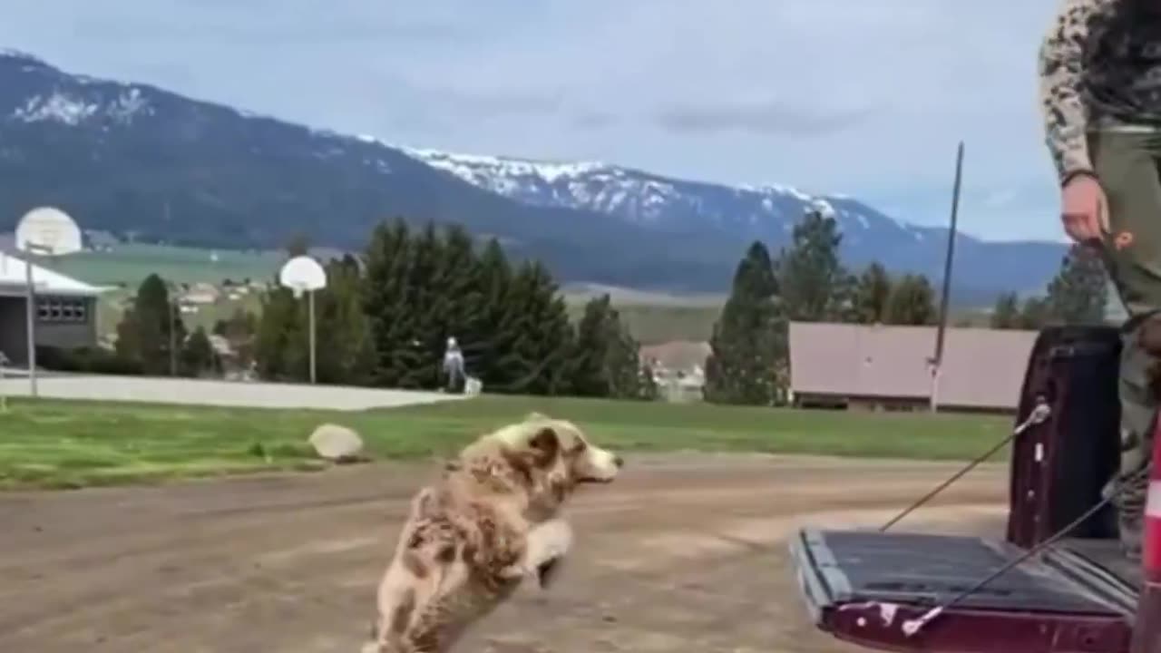 When the forward button doesn’t work.. 😂