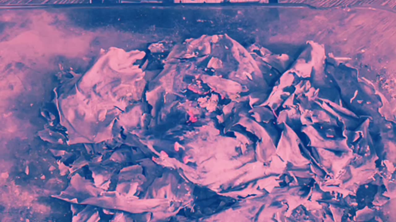 Tim Rifat TikTok Videos