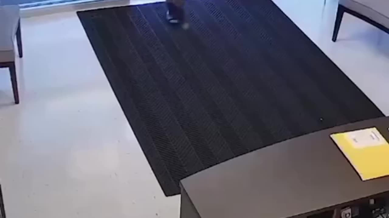 Funny video
