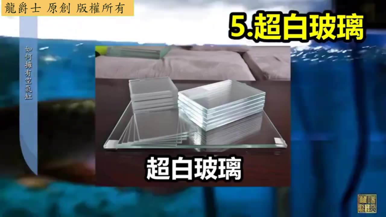 【龍爵士】水族百科 如何擁有空氣缸
