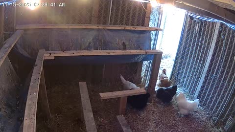 Relaxing Saturday Morning!