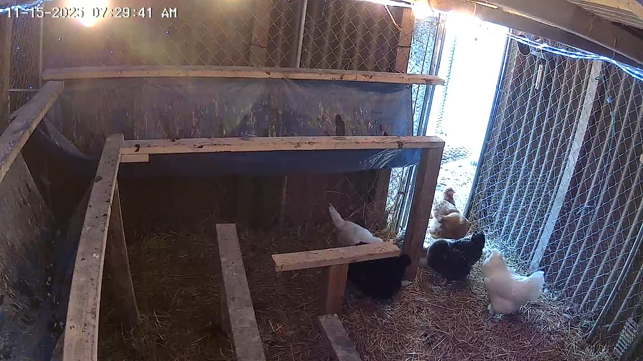 Relaxing Saturday Morning!