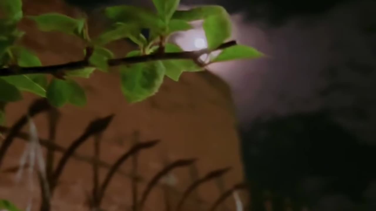 Mystical Leaf and Moon Combo #maxrecords #larkana #sindh #pakistan