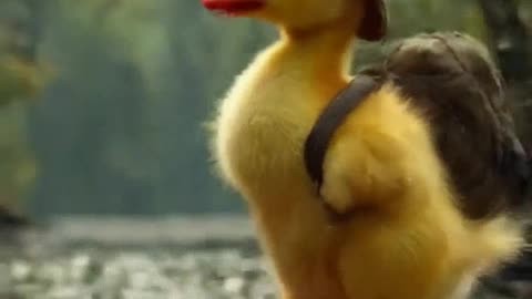 Va el patito en su bote, sin rumbo y sin calor, flotando en el agua, perdido en su dolor