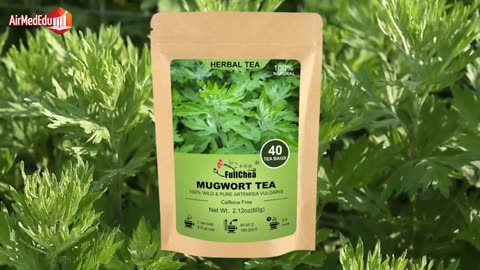 Efecto del Té de Artemisa en el Organismo