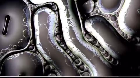 Ferrofluid magnified