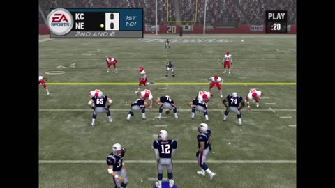 Madden 2004
