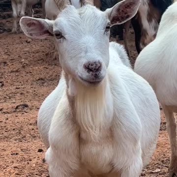 I'm starving to death, FEED ME NOW!!!