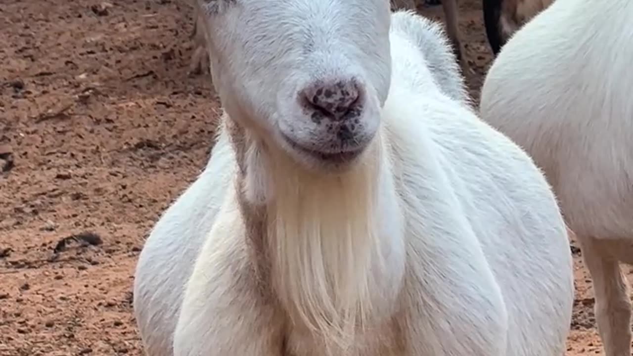 I'm starving to death, FEED ME NOW!!!