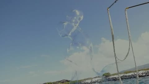 Swim Free Hawaii - Bubble Time part 1