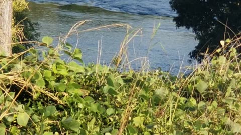 Hesitant to obey God