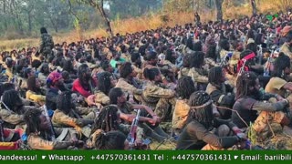 Gabaasa Tarkaavnfii ONM-ABO Sadaasa 20-2025 itti dhiyaadhaa!