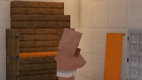 Don't Drop The Soap in Minecraft Village