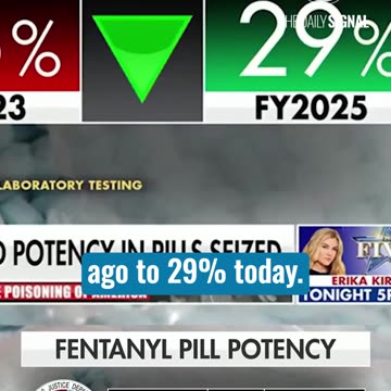 ‘Definitive Proof’ Trump’s War on Drugs Is Actually Working