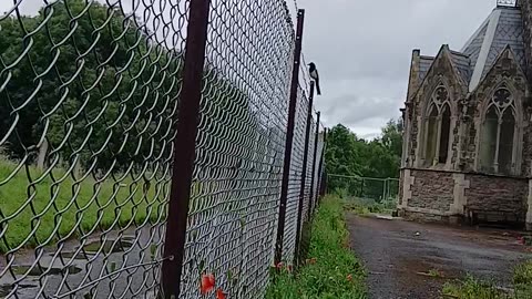 Poppy's at the fence that filled the ground when lola died