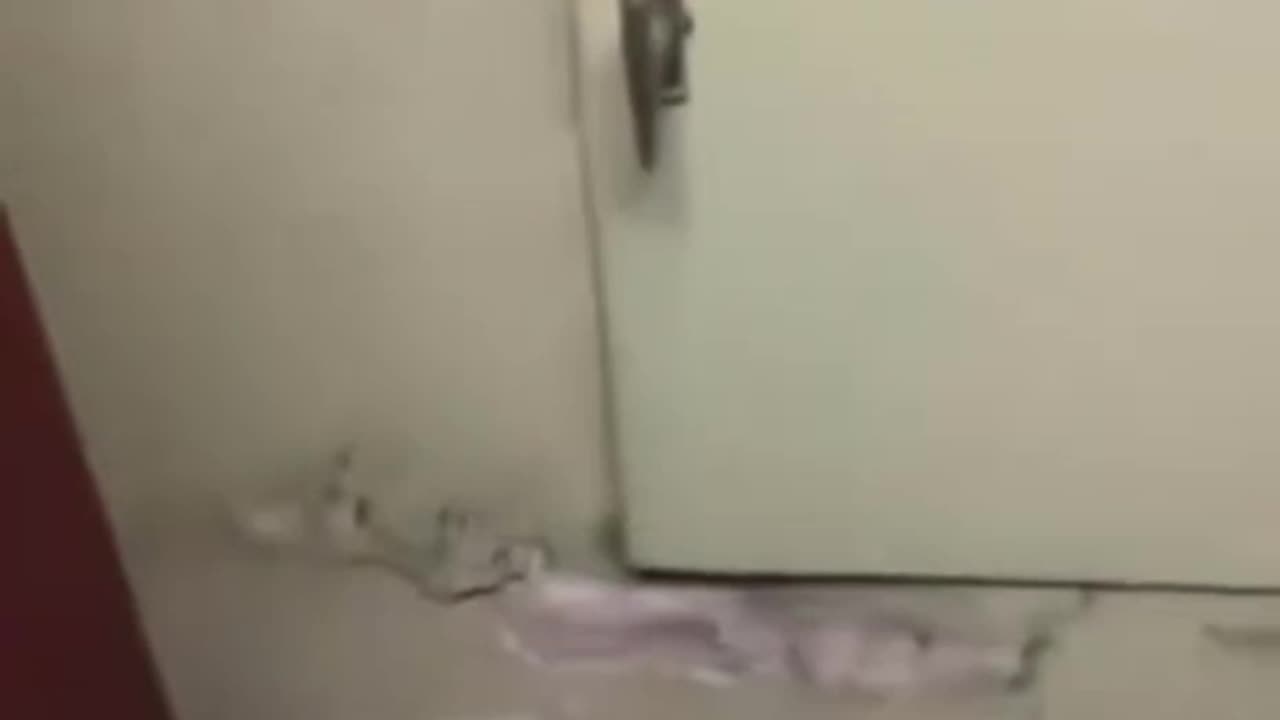 Tunnels