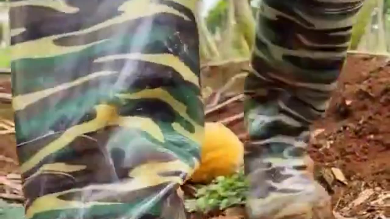Can you invest in modern farming.