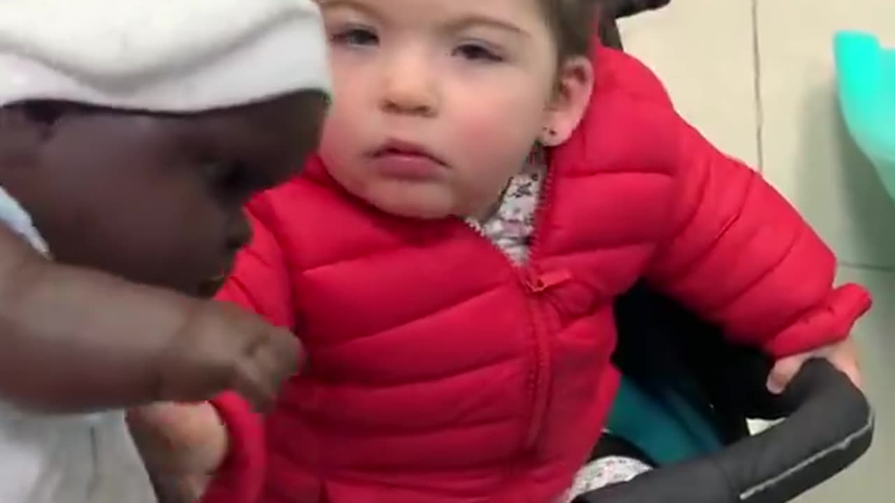 Wholesome