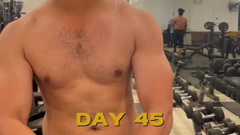 Day 45 | Faith, Discipline, and Patience