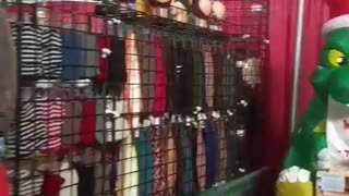 Christmas Gift & Hobby Show. Flashback! Day 1, Part 8. I live on the naughty list.