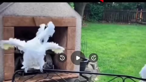 😂📺 This Hilarious Clip Never Gets Old! | FunFM