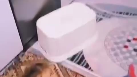 Funny video