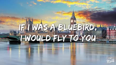 Harry_Styles_-_Daylight__Lyrics_(0)