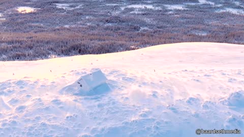 Man Saves Frozen Bird Stuck To Fence - Your Daily Does of Internet