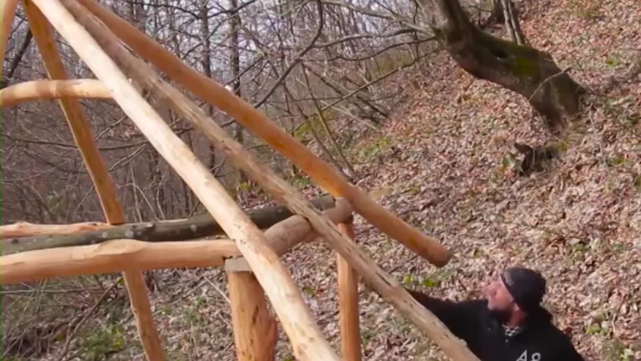 A beautiful wooden house in the forest built with your own hands