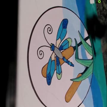 Stained Dragonfly timelapse