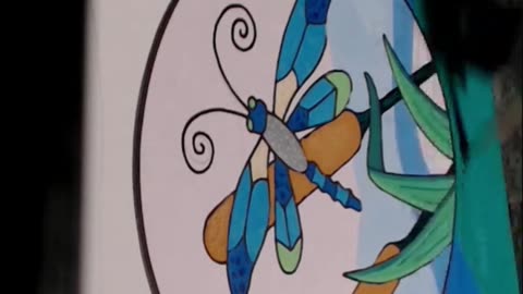 Stained Dragonfly timelapse