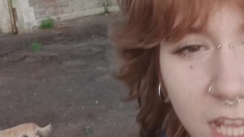 Evening vlog from the chapel vlogger