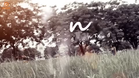 Tan ｜ Lương Minh Trang ｜ Official MV