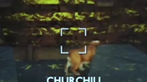 Accidentally killing dogmeat