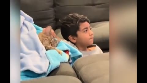 “When the Cat Becomes the teacher: