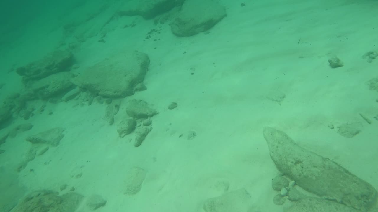 Shallow Water Snorkeling lots of fish up close in Grand Cayman