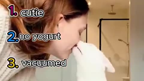top 5 funny cat moments!!!😂😂😂