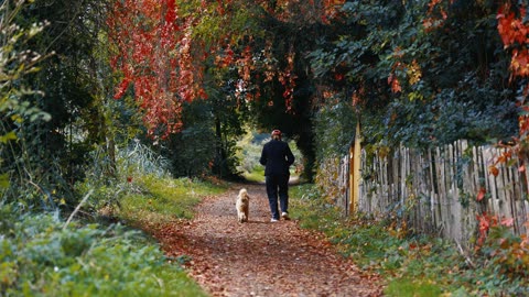 Dreamscape Drizzle – Sleepy Lofi Nights