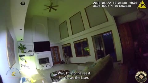 Unimpressed Bobcat Ignores Lasers, Strolls Out of Ken Caryl Home on Its Own Terms