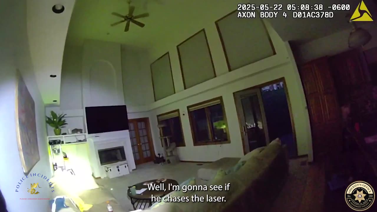 Unimpressed Bobcat Ignores Lasers, Strolls Out of Ken Caryl Home on Its Own Terms