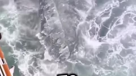 Why The TITANIC Sank?
