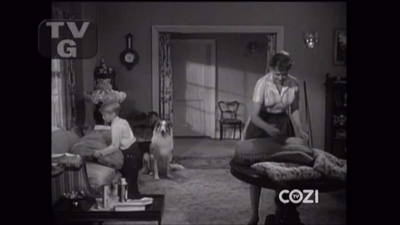 Lassie - Episode 184 - 'Old Henry'