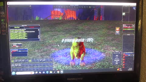 EverQuest: Zombie Fighter Level 10